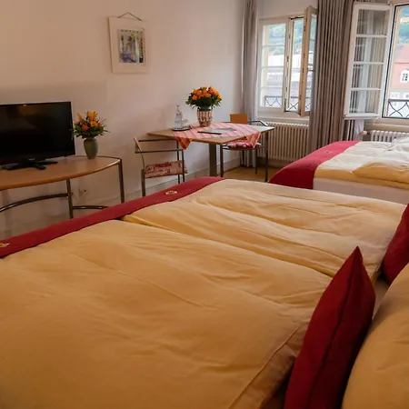 Hotel Goldener Falke 3*