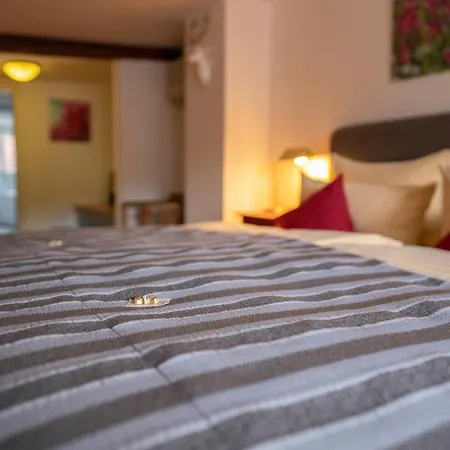 호텔 골데너 팔크