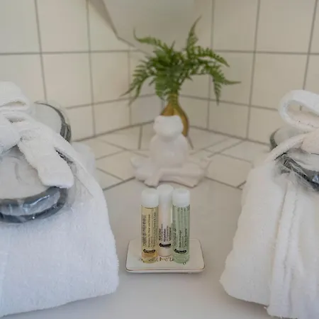 호텔 골데너 팔크