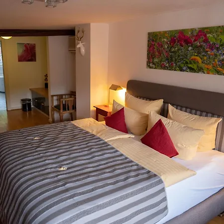 Hotel Goldener Falke 3*