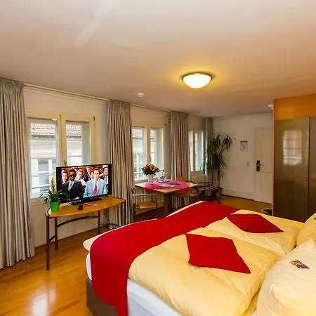 골데너 팔크 3* 하이델베르크