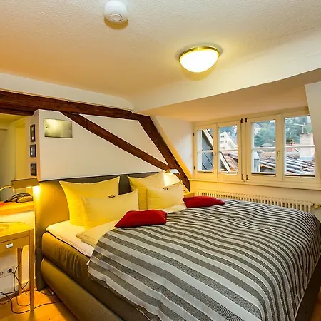 호텔 골데너 팔크