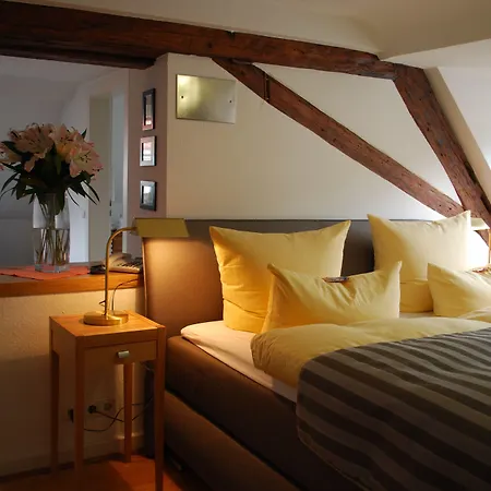 Goldener Falke 3* Heidelberg