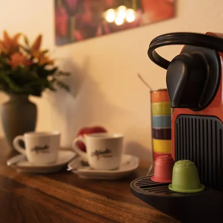 Hotel Goldener Falke 3*