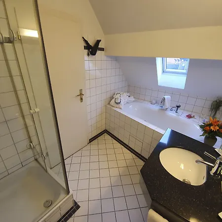 Hotel Goldener Falke 3*