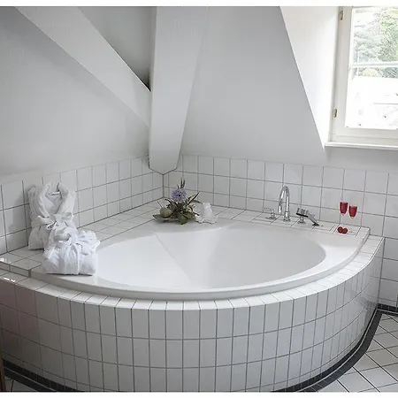 Goldener Falke Heidelberg