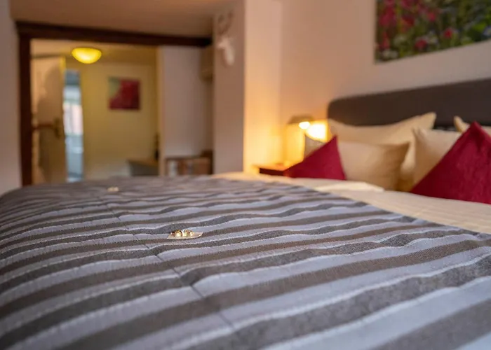 호텔 골데너 팔크