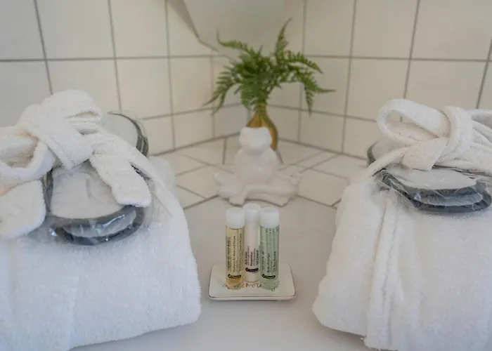 호텔 골데너 팔크