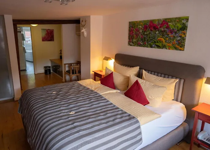 호텔 골데너 팔크 3*