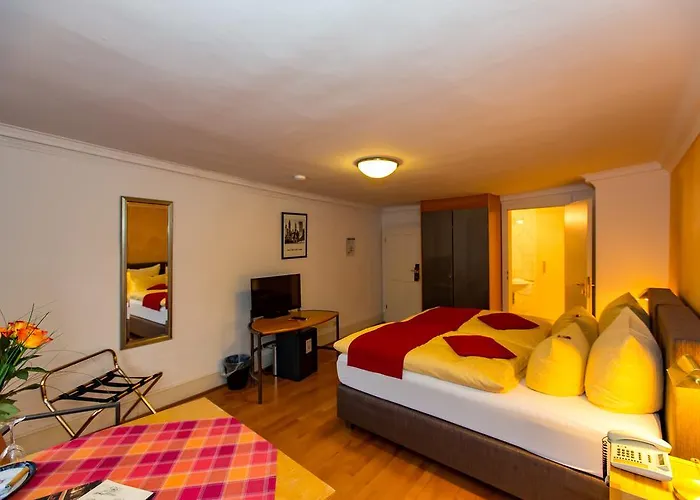 호텔 골데너 팔크 하이델베르크