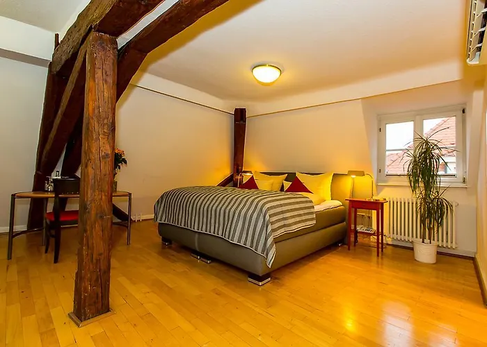 골데너 팔크 3* 하이델베르크