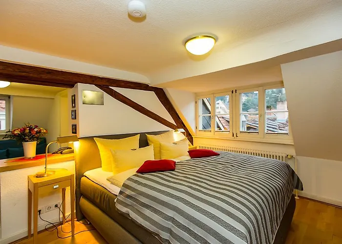 호텔 골데너 팔크