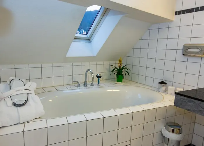 골데너 팔크 호텔 하이델베르크