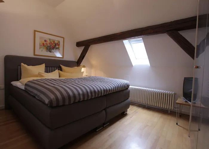 골데너 팔크 호텔 3*