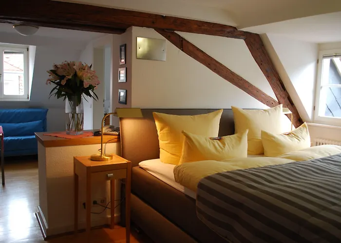 골데너 팔크 3* 하이델베르크