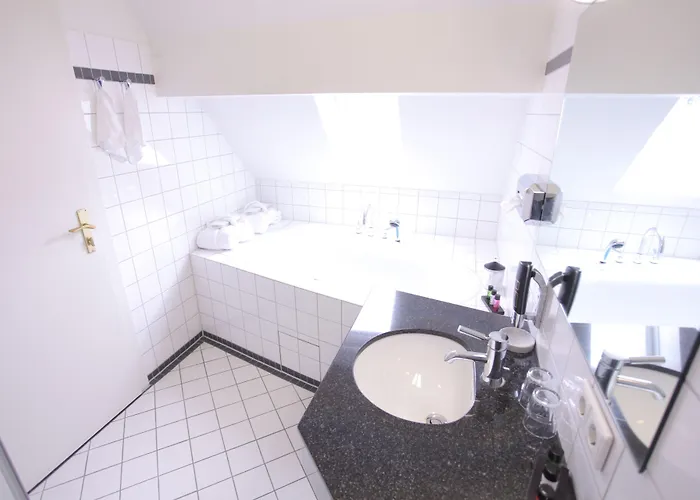 호텔 골데너 팔크 하이델베르크