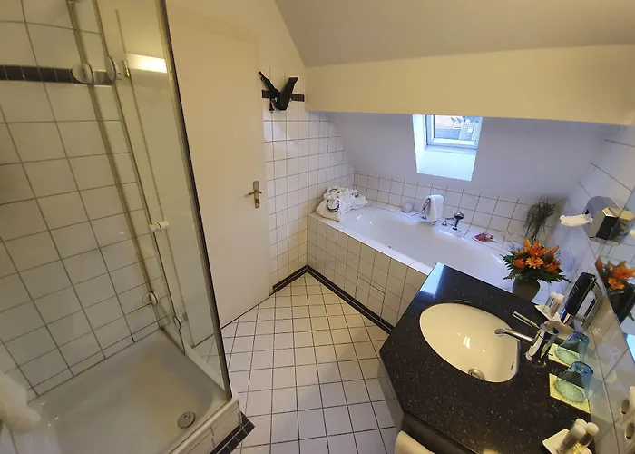 호텔 골데너 팔크 3*